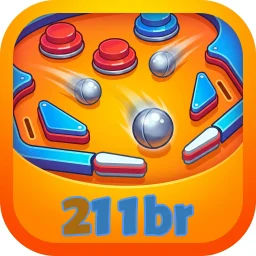 211br