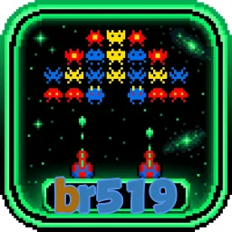 br519