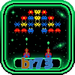 br73